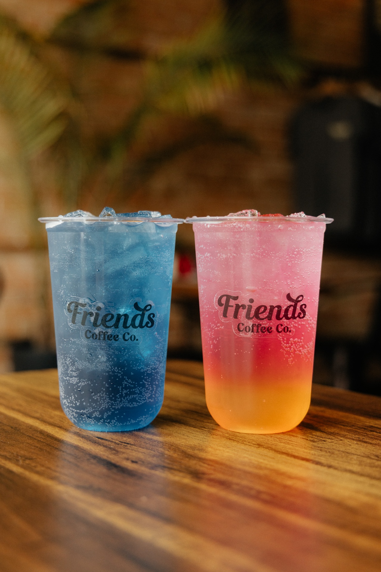 Summer sodas from the Friends Collective